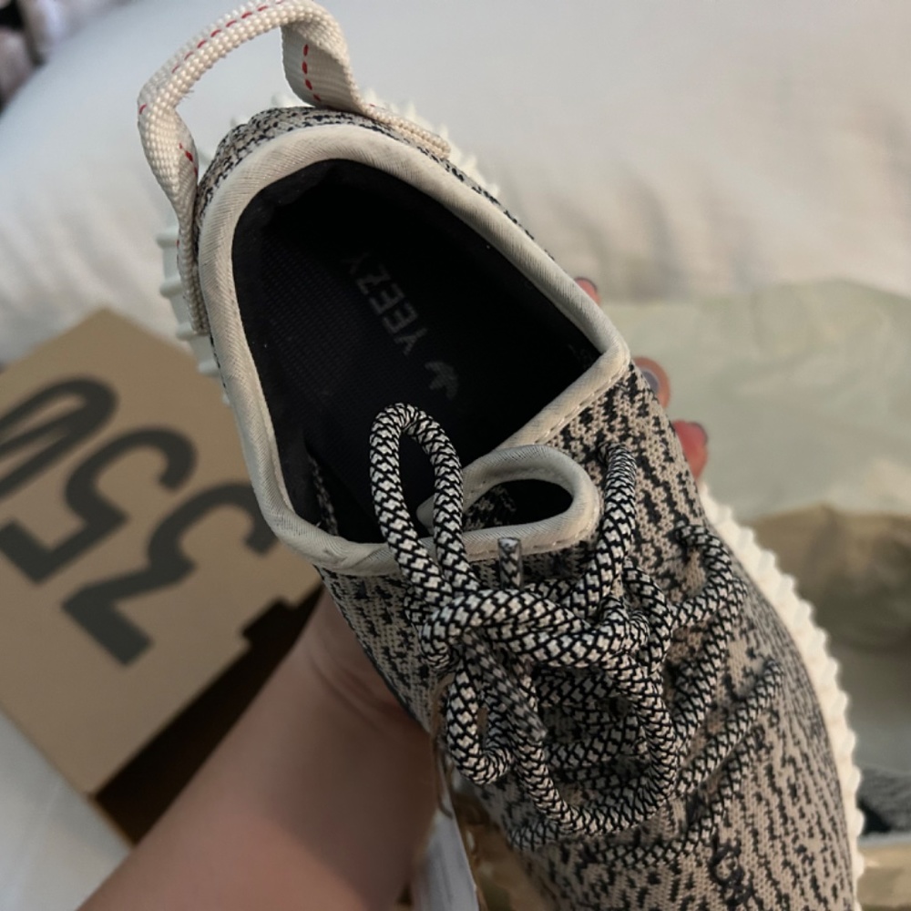 Yeezy Boost 350 Turtle - Picture 6 of 14